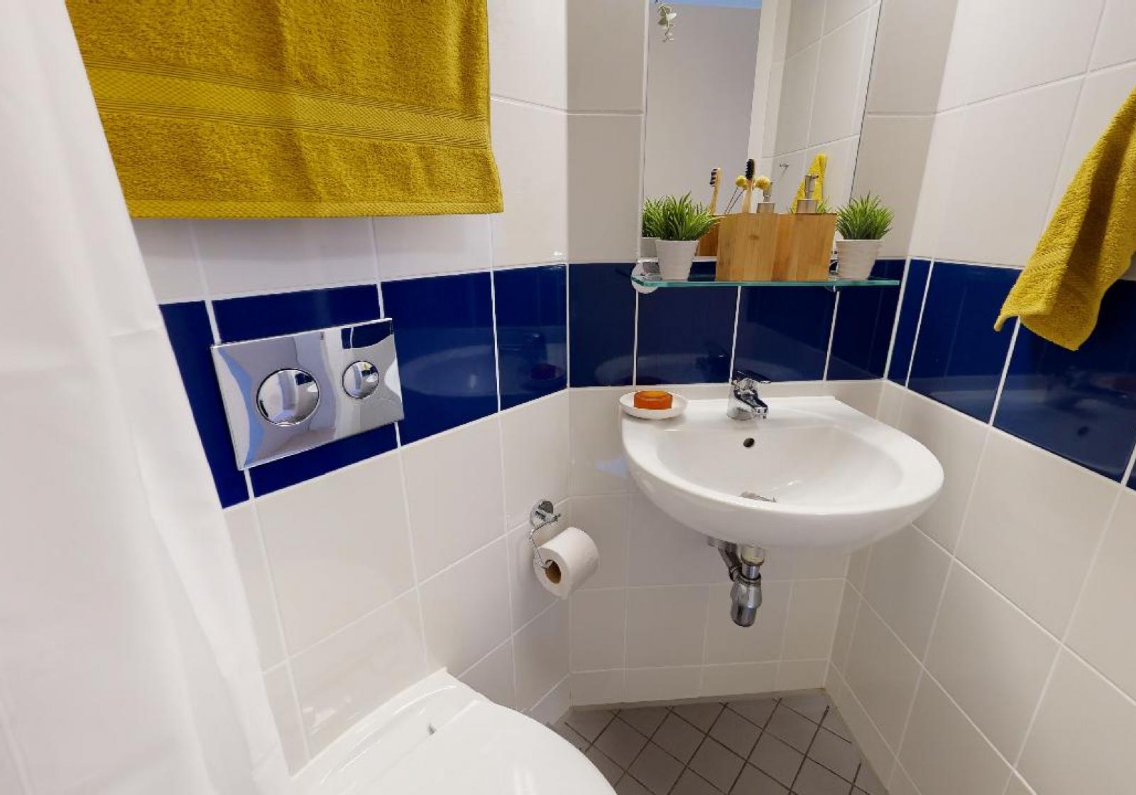  Gold En-Suite  -  Will Wyatt Court  - Gallery -  3