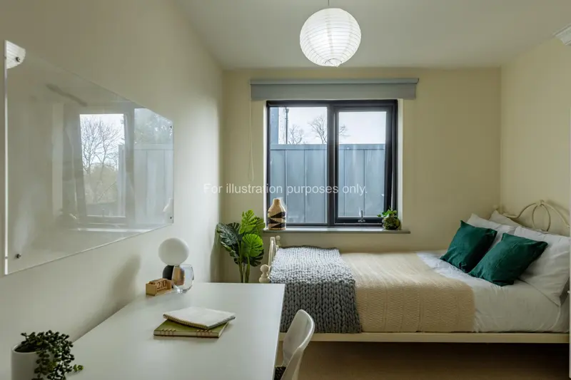  Bronze Plus Room  -  Mary Morris House  - Gallery -  5