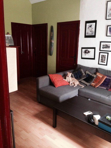 Neat double bedroom within reach of Universidad de Sevilla - Gallery - 3