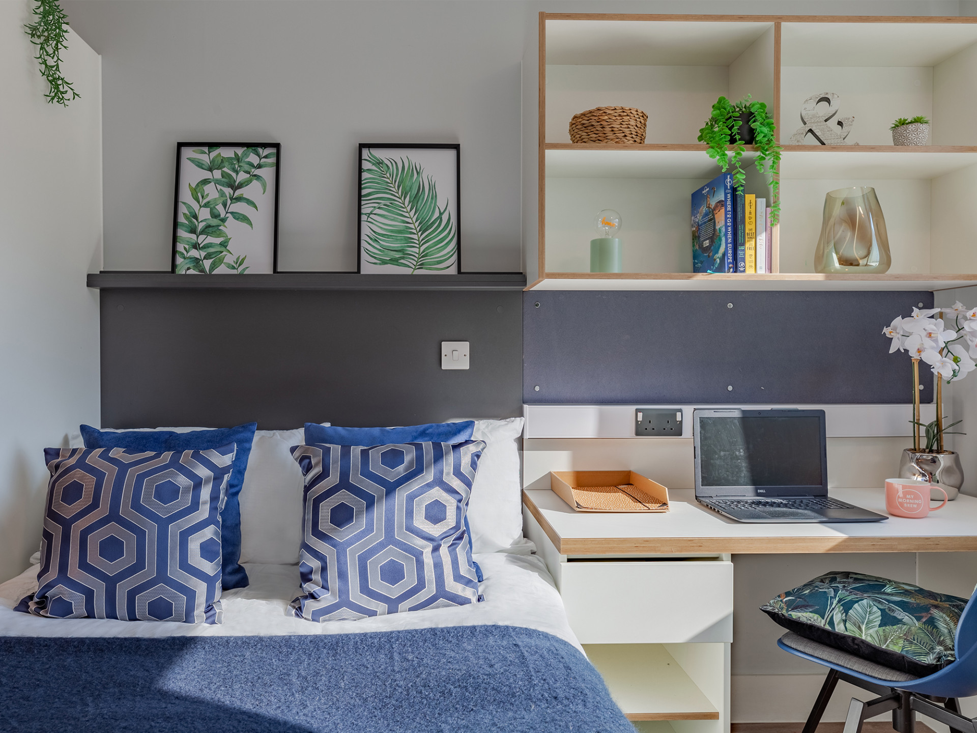  Premium Studio  -  West Way Square  - Gallery -  8