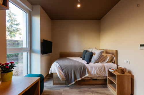 Cosy studio close to University Campus of Cartuja