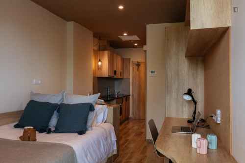 Cosy studio close to University Campus of Cartuja  - Gallery -  5