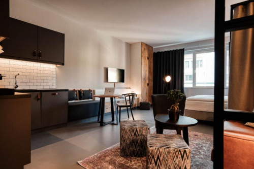 Stylish studio close to Gaisburg metro station