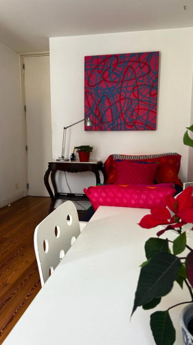 Single bedroom in 4-bedroom apartment