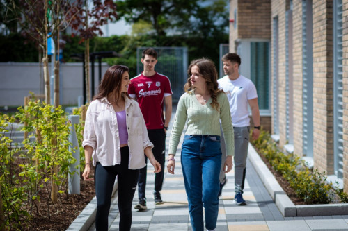 The Westwood  - Gallery -  5