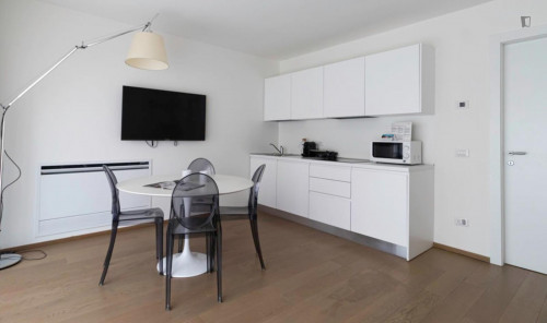 Bright 1-bedroom apartment near Piazza Gae Aulenti