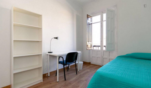 Cool double bedroom near to Puerta de Elvira - Gallery - 21