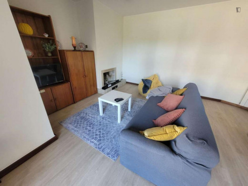 Modern 2-bedroom apartment near Arrábida Shopping