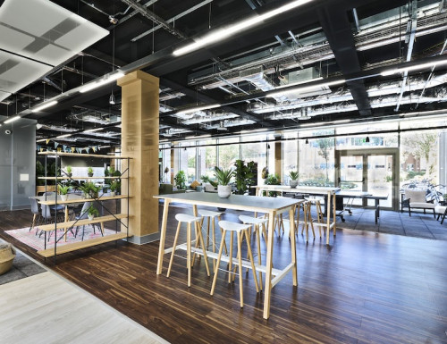 The Oaks  - Gallery -  5