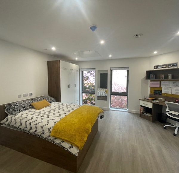  Studio Gold  -  The Oaks  - Gallery -  1