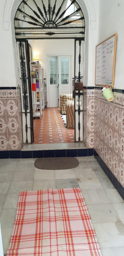 Charming single bedroom in Regina