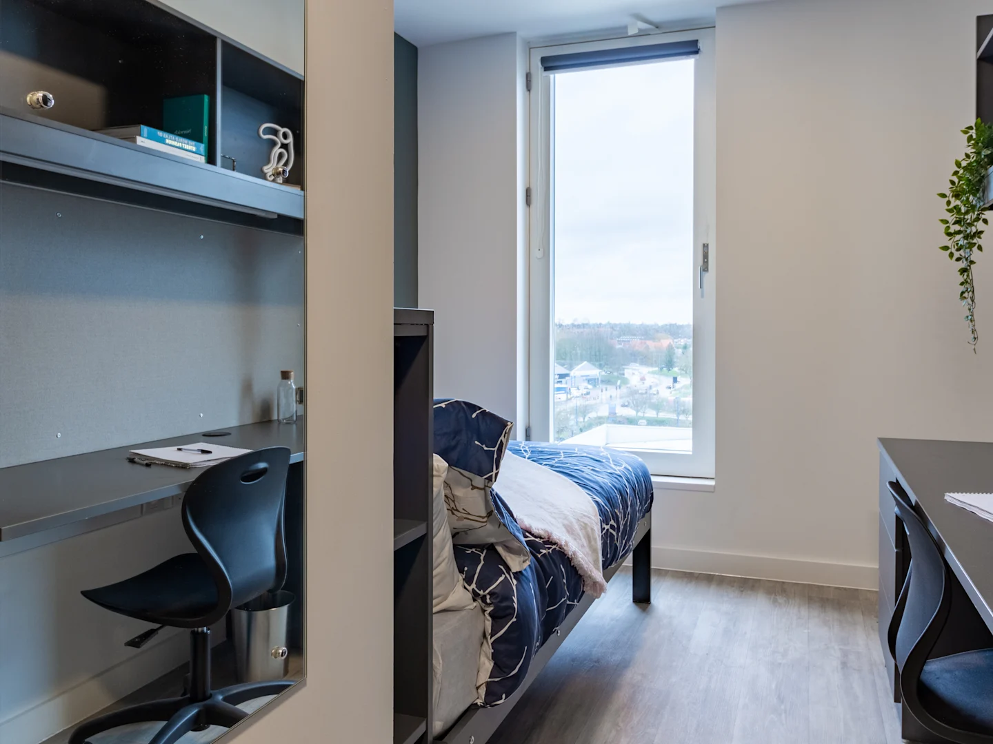  Superior En Suite  -  بينيداكت جيت  - Gallery -  7