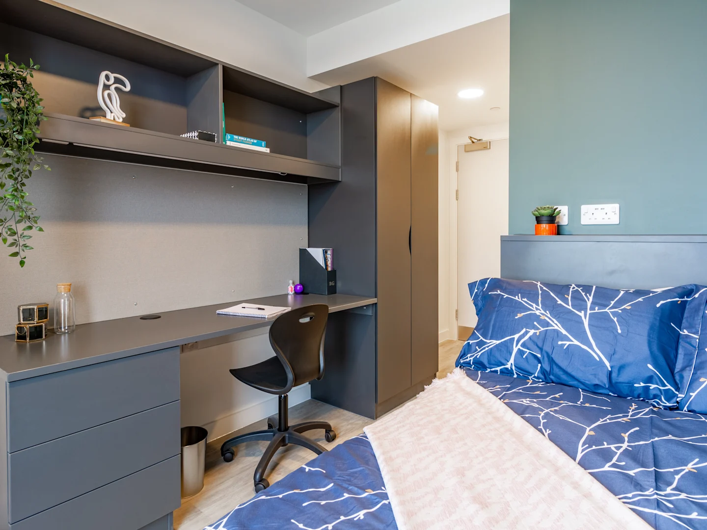  Superior En Suite  -  بينيداكت جيت  - Gallery -  2