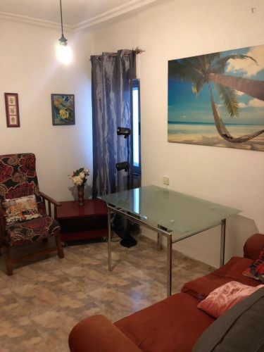Decent double bedroom with private salón near Plaza Mayor