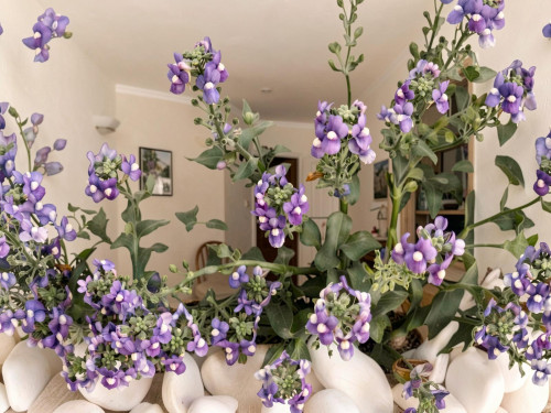 Loureiros Home - Gallery - 163