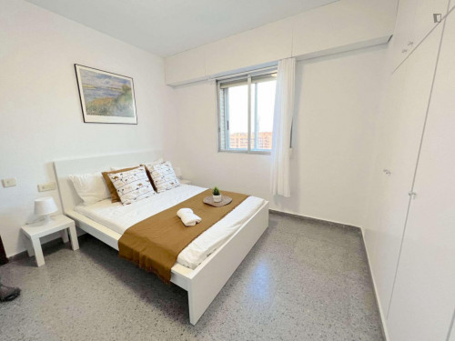 Bright double bedroom in campus Blasco Ibañez