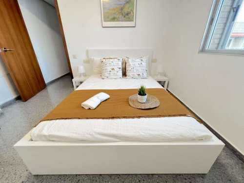 Bright double bedroom in campus Blasco Ibañez