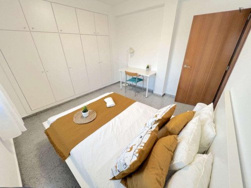 Bright double bedroom in campus Blasco Ibañez