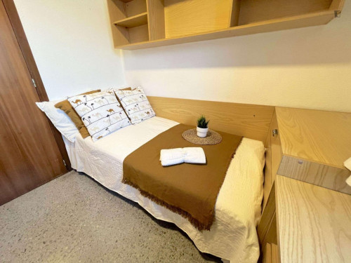 Nice single bedroom close to Facultats metro station