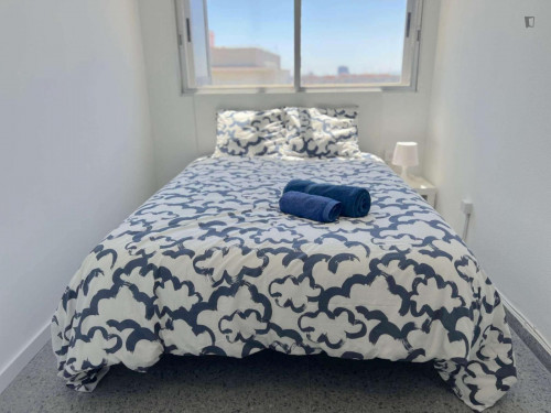 Big double bedroom with exterior view in Campus Blasco Ibañez