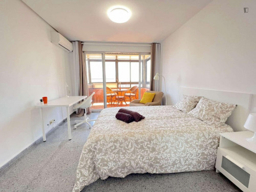 Big double bedroom in Campus Blasco Ibañez