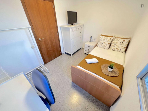 Snug single bedroom in Campus Blasco Ibañez