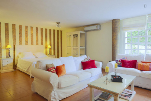 Marvelous studio with a private pool in Dos Hermanas