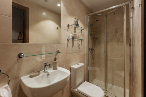 Comfy studio not far from Lugaritz train station