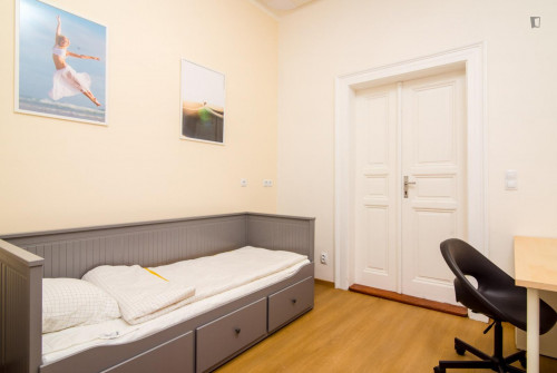 Cute single bedroom in a 5-bedroom apartment in Prague 2