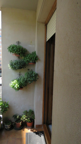 2-bedroom apartment, with outdoor area  - Gallery -  5