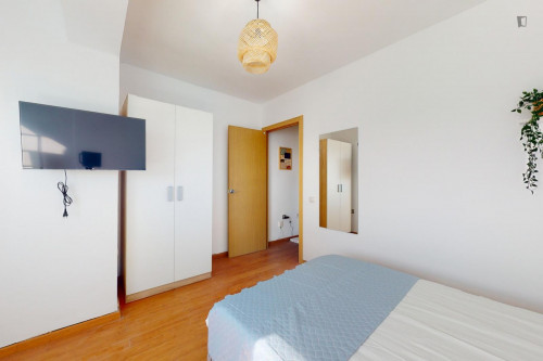 Great looking single bedroom