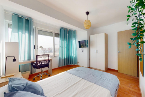 Great looking single bedroom