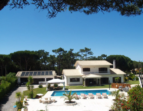 Vibrant Outstanding Complex w/ Pool