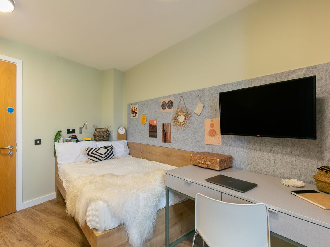  Extra Large Studio  -  The Curve  - Gallery -  1