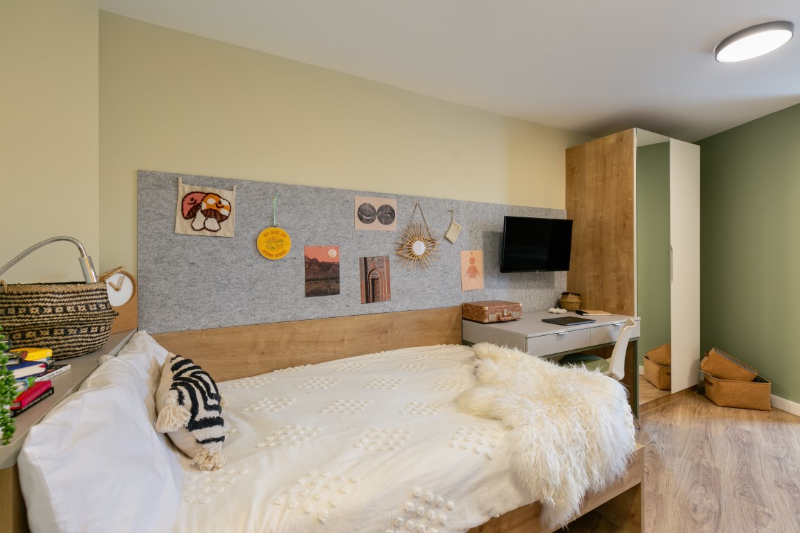  Extra Large Studio  -  The Curve  - Gallery -  5