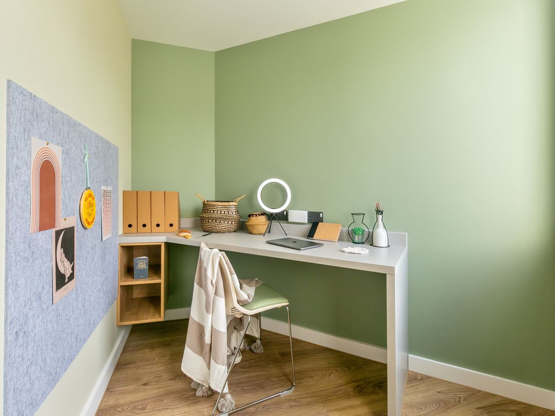  Extra Large Studio  -  The Curve  - Gallery -  2