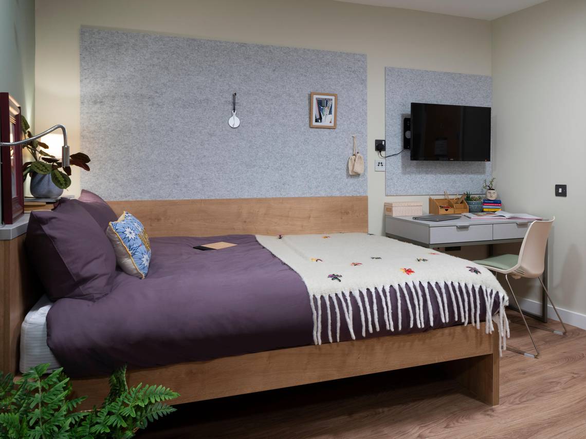  Large Double Studio  -  The Curve  - Gallery -  1