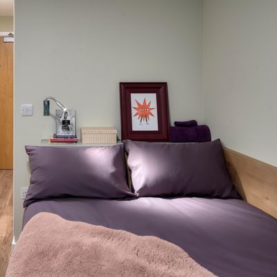  Standard Studio  -  The Curve  - Gallery -  3
