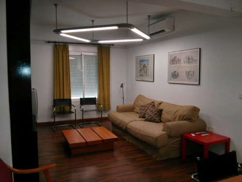 Very posh 3-bedroom flat in the centre of Granada