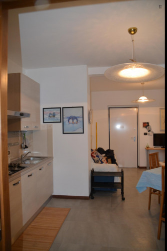 Lovely two bedrooms apartment nearby Mole Antonelliana - Gallery - 5