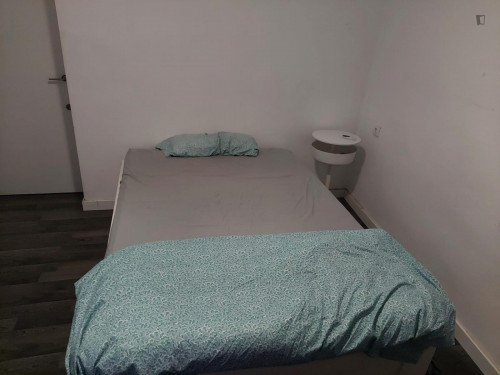 Great looking single bedroom