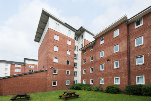 Brook Hall  - Gallery -  2