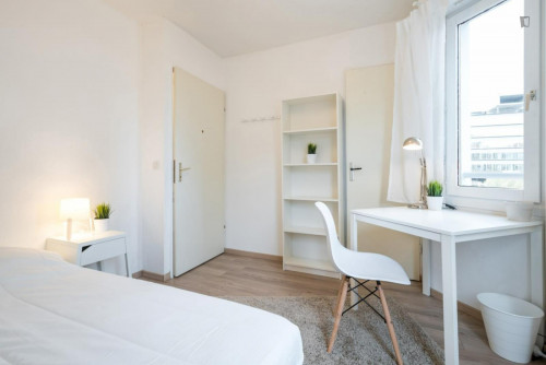 Snug double bedroom near Gare Part-Dieu V.Merle metro station