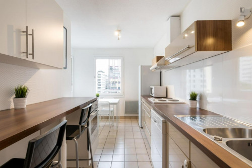 Snug double bedroom near Gare Part-Dieu V.Merle metro station