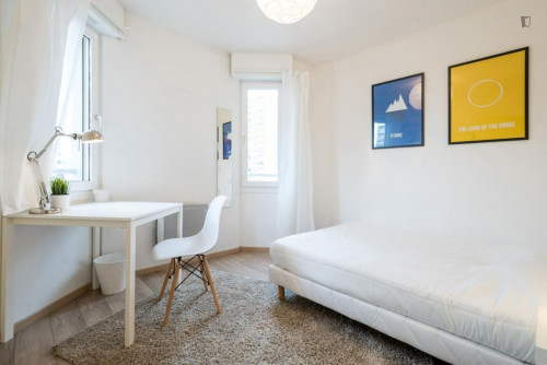 Snug double bedroom near Gare Part-Dieu V.Merle metro station