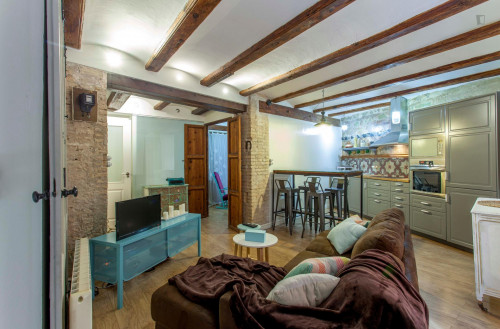 Beautiful 2 bedroom apartment in the central and historic Ciutat Vella district - Gallery - 18
