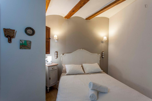 Beautiful 2 bedroom apartment in the central and historic Ciutat Vella district - Gallery - 21