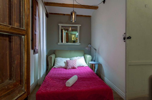 Beautiful 2 bedroom apartment in the central and historic Ciutat Vella district - Gallery - 14
