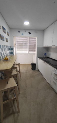 Delightful single bedroom in a 4-bedroom flat