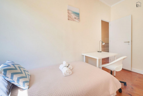 Homely single bedroom near NOVA Medical School  - Gallery -  5